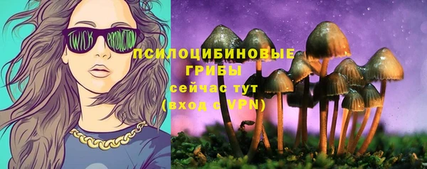 крисы Переславль-Залесский