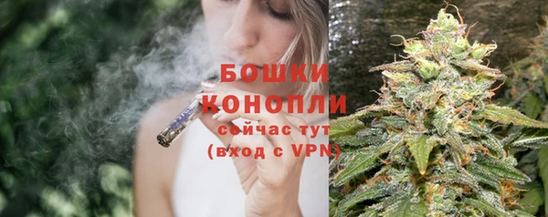 крисы Переславль-Залесский