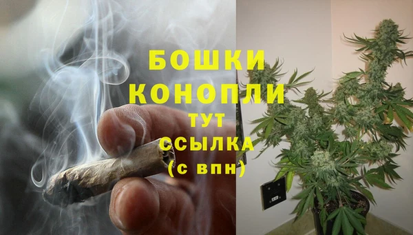 крисы Переславль-Залесский
