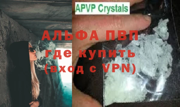 гидра Белокуриха