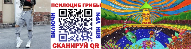 Галлюциногенные грибы мицелий  Хотьково 